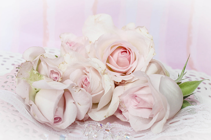 Wedding rose flowers