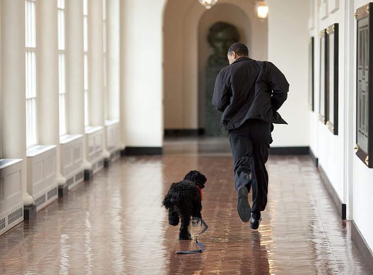 man running with black dog on corridor