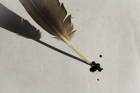 black ink on brown feather