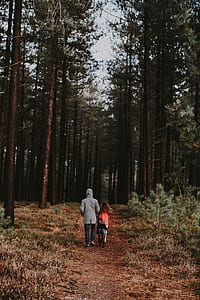 two person walking on pathway between trees