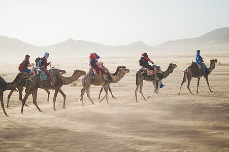 people riding donkeys on desert land