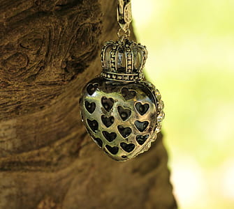 heart-shaped silver-colored pendant near brown tree trunk