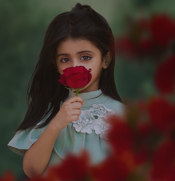 photo of girl holding red rose