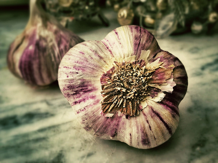 purple and white onions