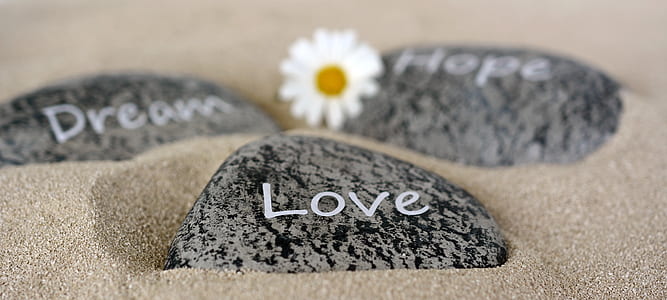 selective focus photography of black and gray Love-printed stone