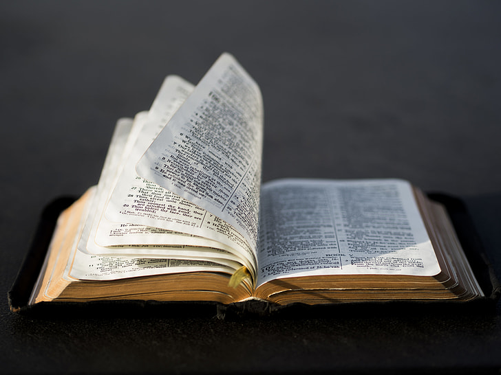 selective focus photography of open bible with black leather cover