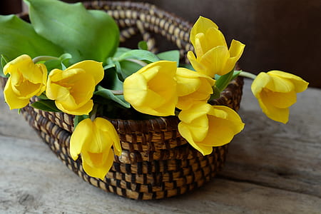 yellow petaled flowers on brown wicker basket