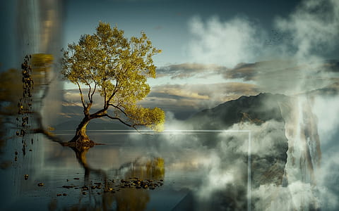 tree on body of water painting