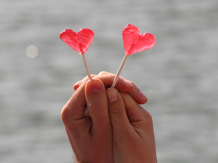 person holds heart-shaped candy pops