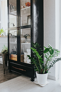 Home decor with green plants