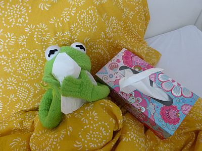 green frog plush toy beside tissue dispenser