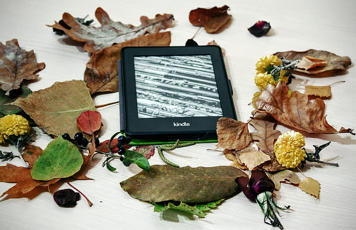 black Kindle e-book reader beside of assorted leaf lot