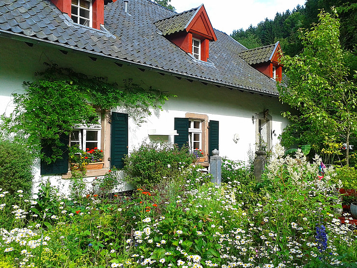 2-storey house surrounded with white petaled flowers