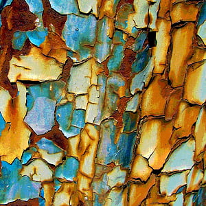 blue and brown rusted metal