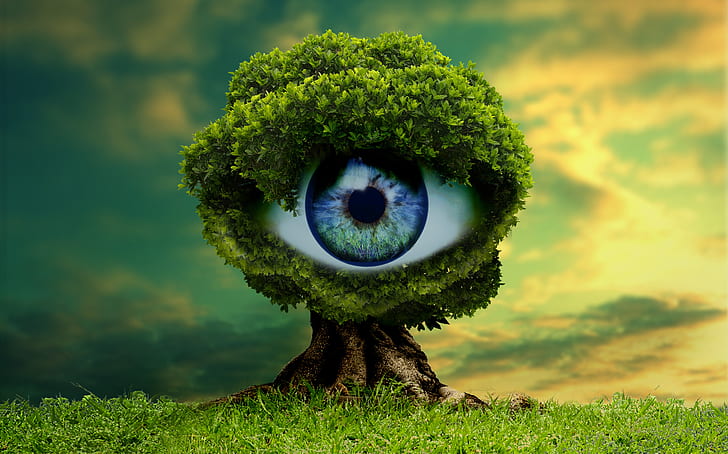 green tree with eye