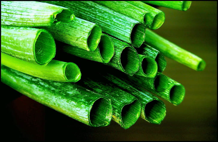 macro photography of green leafed tube