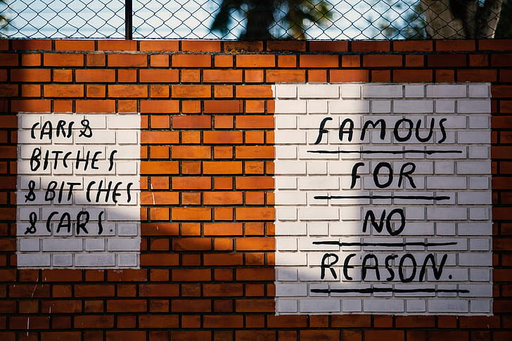 famous for no reason paint