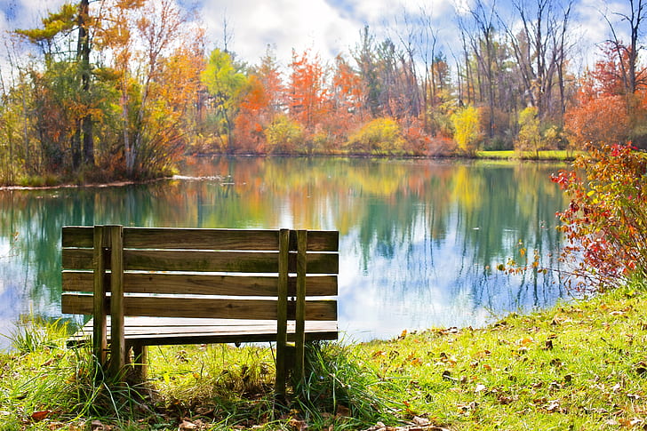 brown wooden bench on the grass field facing on body of water