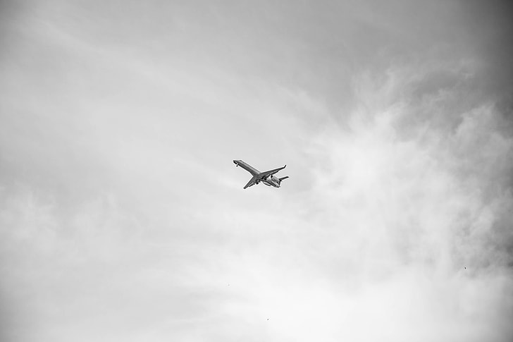 grayscale photography of airlines