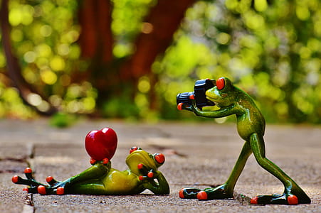 selective focus of two frog figurines formed with photography session