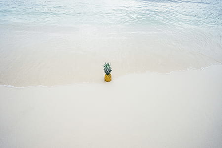 Pineapple in the Middle of the Seashore