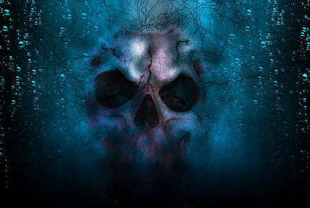 gray and blue skull illustration