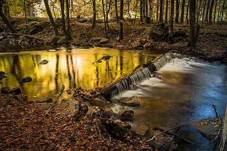 time lapse photography of water flowing near trees
