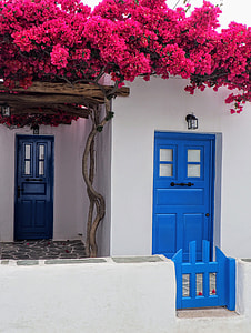 white concrete house with blue wooden doors and red flowers on top of it