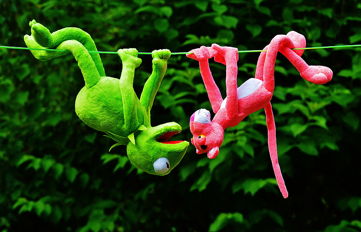 Kermit the Frog and Pink Panther hangup on green string