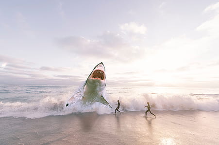 edited photo of great white shark on shore in front of two people running