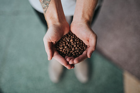 person holding coffeebeans