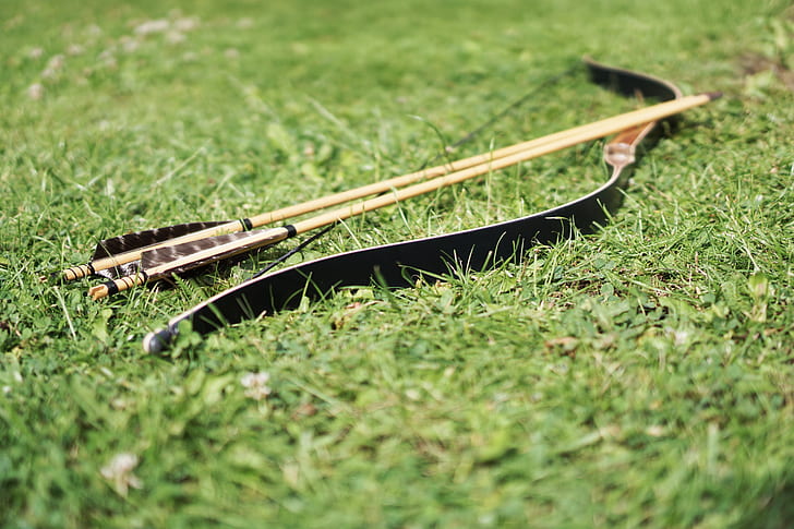 black compound bow with arrows on grassfield during daytime