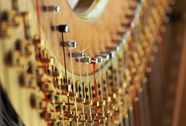 closeup photo of instrument strings