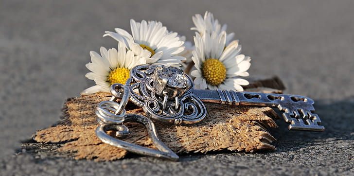 silver-colored skeleton key accessory and white flowers