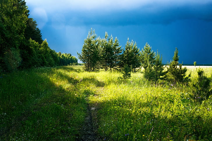 landscape photography of dirt pathway between grass
