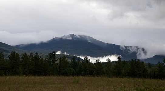 mist mountain across the forest