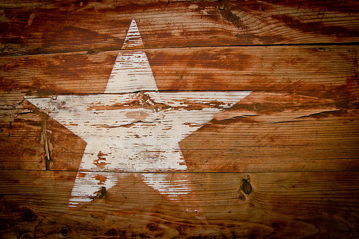 closeup photo of brown and white star-printed board