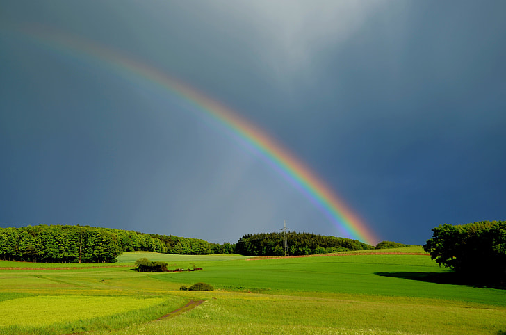 rainbow across green grass field during daytime
