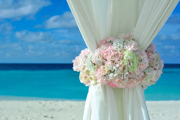 white curtain surrounded by flowers under blue sky