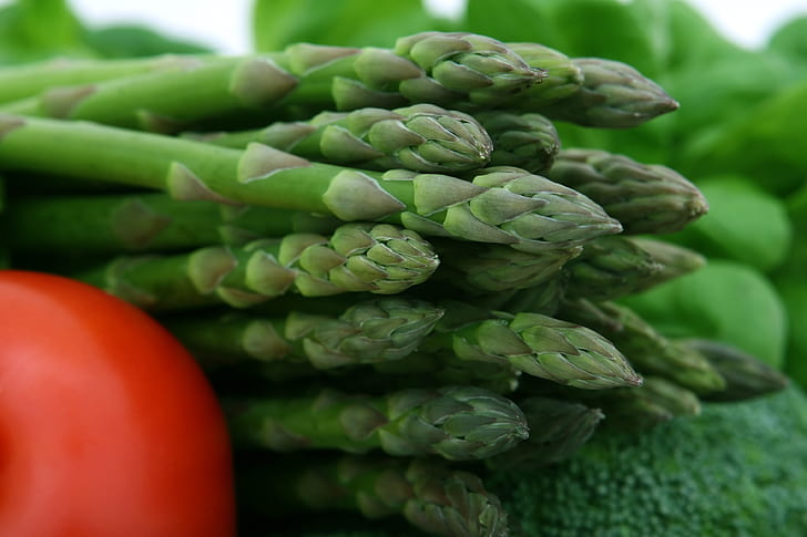 closeup photo of green vegetables