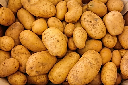 photography of brown potatoes