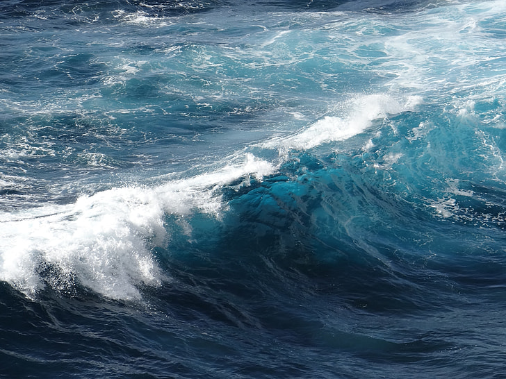photo of sea waves