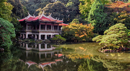 pagoda temple surrounded by body of water and trees