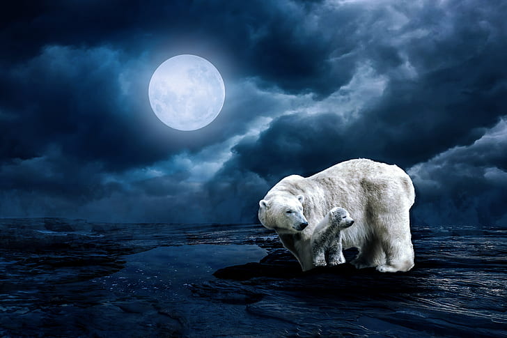polar bear and baby polar bear on ice with full moon background