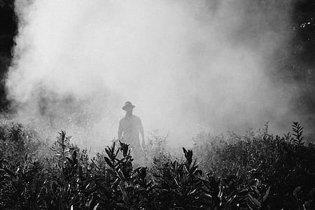 man wearing hat on bush surrounded by smoke