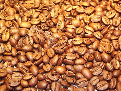 brown coffee bean lot