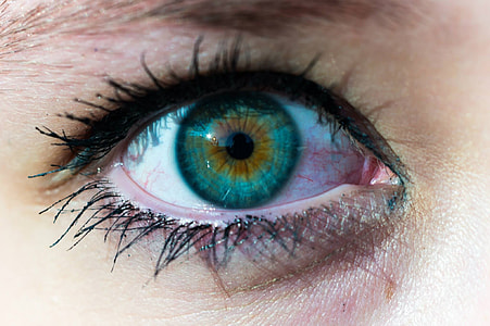 close up photo of left human eye