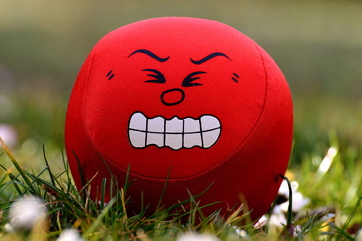red and white angry printed plush toy on green grass photography
