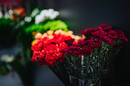 Collection of colourful flower bouquets