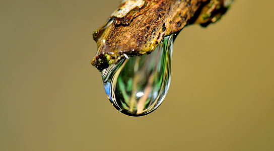 water drop on beige stick in-close up photo